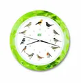 Produktbild: KOOKOO Wanduhr Singvögel Leaf/green DESV1001LE / NEU in OVP