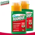 Produktbild: Roundup Unkrautfrei 2 x 250 ml Express Konzentrat Brennnessel Vogelmiere