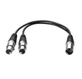 Produktbild: euroharry 30cm Mikrofon 3pin XLR Male to Dual 2 XLR Female Stecker Adapter Audio- & Video-Kabel