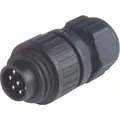 Produktbild: Hirschmann 934 126-100-1 934126100 Rundstecker Stecker, gerade Gesamtpolzahl:...