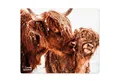 Produktbild: Speedlink Mauspad Mouse-Pad Maus-Pad Motiv Cow dünn 1,5mm, Bild Kuh mit Kalb, Mouse Maus Pad dünn rutschfest Textil-Oberfläche
