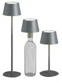 Produktbild: Northpoint 3in1 LED Tischlampe Flaschenleuchte in Grau max. 45cm hoch mit 3000mAh Akku 200lm warmweißes Licht (3000K) stufenlos dimmbar für Innen und Außen