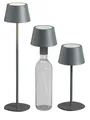 Produktbild: 3in1 LED Tischlampe Flaschenleuchte in Grau max. 45cm 200lm 3000K dimmbar IP44
