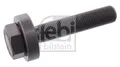 Produktbild: FEBI BILSTEIN ACHSSCHRAUBE 22462