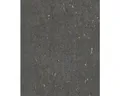 Produktbild: Vliestapete 538359 Curiosity effekt-optik schwarz