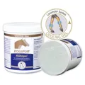 Produktbild: Equipur Kühlgel 1 kg
