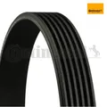 Produktbild: Keilrippenriemen CONTINENTAL CTAM 6PK1432 für Ford Galaxy VW