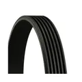 Produktbild: 1x Keilrippenriemen CONTINENTAL CTAM 6PK1432 passend für AUDI BMW CHRYSLER VW