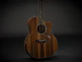 Produktbild: Taylor Presentation PS14ce Honduras Palisander