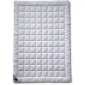 Produktbild: billerbeck Sommerbettdecke Sari Seide 200 x cm Baumwolle Weiß