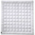 Produktbild: Billerbeck Sommerdecke Sari Superlight, Weiß, Textil, Füllung: Seide, 200x200 cm, Hohenstein, für Hausstauballergiker geeignet, temperaturausgleichend, feuchtigkeitsregulierend, weich und anschmiegsam, Schlaftextilien, Bettdecken, Sommerdecken