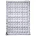 Produktbild: billerbeck Sommerbettdecke Sari, Füllung: 100% Seide (Tussah-Seide), Bezug: Baumwolle, Atmungsaktiv und leicht kühlend 200 cm x 200 cm