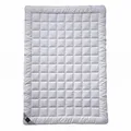 Produktbild: Billerbeck Bettdecke Sari – ca. 200 x 200 cm – leichte Sommerdecke – kühlende dünne Decke für den Sommer – aus Tussah Seide