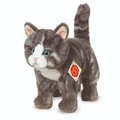 Produktbild: Teddy Hermann Collection 918226 Plüsch Katze, grau getigert - 20cm