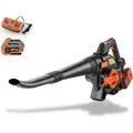 Produktbild: FUXTEC 2in1 Akku Laubbläser FX-E2LBSSET - 40Volt Laubsauger |Laubhäcksler | 685m3/h | inkl. Laubfangsack | Ergonomischer Griff | mit Akku/ Ladeg...