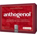 Produktbild: Opc Original Masqueliers Anthogenol Kapseln 90 St