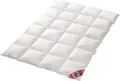 Produktbild: Canada Dreams Plus Luxus Winter Daunendecke Wärmegrad 4 Luxus Daunenflaum ☆☆☆☆☆ (200x200 cm)