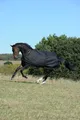 Produktbild: Bucas Weidedecke Irish Turnout Light 50g Classic 1200D