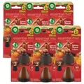 Produktbild: Air Wick Nachfüllpackung für Aroma Diffusor - Winter Punch & Spices 6x20ml