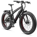 Produktbild: Telefunken E-Bike FM350 26 Zoll Fatbike mit 8 Gang Kettenschaltung - Hinterradmotor 250W /16Ah / 36V Lithium-Ionen-Akku
