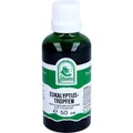 Produktbild: EUKALYPTUS TROPFEN zum Einnehmen 50 ml PZN11366543