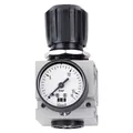 Produktbild: Schneider Druckminderer DM 1/4 W (31612713)
