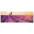 Produktbild: REINDERS Poster, Lavendel Horizont, Wohnzimmer, Bilder, Wanddeko, Room Decor, 170 gr. glänzend Bilderdruckpapier, Lila, 53x158cm