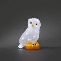 Produktbild: Konstsmide 6185-203 LED Acryl Figur Außen Garten Eule Leucht Deko Vogel Tier