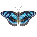Produktbild: CIM Metall Wand Deko Schmetterling Blue Tiger Gelb Wandbild Geschenk Idee
