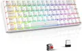 Produktbild: TECURS Gaming Tastatur Kabellos Mechanische Tastatur RGB Bluetooth/2.4G/Mit Kabel, 65% QWERTZ Gamer Keyboard mit Rote Schalter für PC/Laptop/PS4/PS5, Weiß