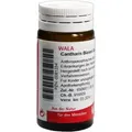 Produktbild: Cantharis Blasen Globuli Velati 20 G
