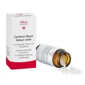Produktbild: WALA® Cantharis Blasen Globuli velati