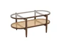 Produktbild: COSTWAY Couchtisch, Glas, Rattan, Holz Sofatisch mit Stauraum, 102x56x47cm