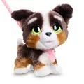 Produktbild: Just Play furReal Walk-A-Lots Bernedoodle interaktives Spielzeug, 20 cm groß, hüpfender Plüschwelpe mit Soundeffekten, Kinderspielzeug ab 4 Jahren, 22.86