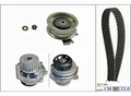 Produktbild: INA Wasserpumpe + Zahnriemensatz 530017131 für VW