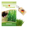 Produktbild: Katzengras Samen - Avena sativa und Lolium perenne - Katzengrassamen - 10 g Saatgut für etwa 5 Töpfe