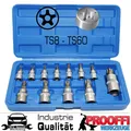Produktbild: 12-tlg Fünfstern TORX IPR Sicherheits Bits Stecknuss Steckschlüssel Set TS8-TS60