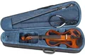 Produktbild: Alfred Stingl by Höfner AS-160E-V E-Violinset 4/4 elektrische Geige Bogen Koffer