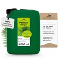 Produktbild: Flora Boost Palmen Dünger Flora Boost 5000ml I Für bis zu 1000L Gießwasser I Pflanzenstärkungsmittel für alle Arten von Palmen I Flüssiger Blatt- & Wurzeldünger I 100% natürlicher Pflanzendünger