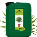Produktbild: Yucca Palmen Dünger von Flora Boost 5 Liter