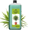 Produktbild: Yucca Palmen Dünger von Flora Boost 500ml