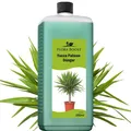 Produktbild: Yucca Palmen Dünger von Flora Boost 250ml