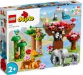 Produktbild: Wilde Tiere Asiens LEGO DUPLO 10974 N6/22