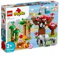Produktbild: LEGO Duplo 10974 Wildtiere Asiens 10974