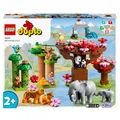 Produktbild: LEGO 10974 Tiere Asiens