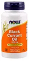Produktbild: NOW Foods Black Currant Oil, 500mg - 100 softgels (189,00 EUR/kg)