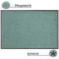 Produktbild: Hanse Home Schmutzfangmatte Wash & Clean, Grün, Textil, Uni, rechteckig, 40x60 cm, Oeko-Tex® Standard 100, rutschfest, für Fußbodenheizung geeignet, rutschhemmend, schützt den Fußboden, pflegeleicht, lichtunempfindlich, trittschallgedämmt, widerstandsfähig, Teppiche & Böden, Fuß & Stufenmatten, Fußmatten und Schmutzfangmatten