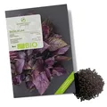 Produktbild: BIO Basilikum Samen Rot - Küchenkräuter Saatgut aus biologischem Anbau, 400 Korn