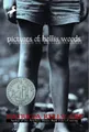 Produktbild: Patricia Reilly Giff Pictures of Hollis Woods (Taschenbuch) (US IMPORT)