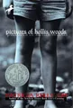 Produktbild: Pictures of Hollis Woods, Giff, Patricia Reilly